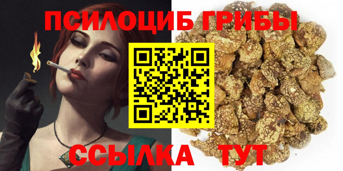 Галлюциногенные грибы мицелий Коряжма