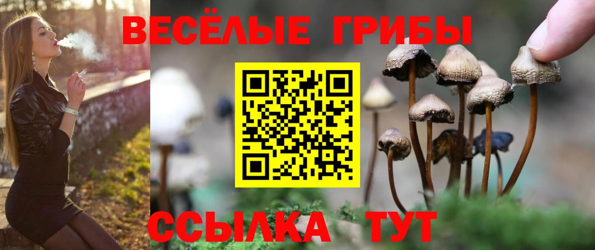 НБОМе  ГАШИШ  Канабис  КОКАИН  ЭКСТАЗИ  LSD-25  Коряжма  Вход с VPN  Меф МЯУ МЯУ кристаллы 